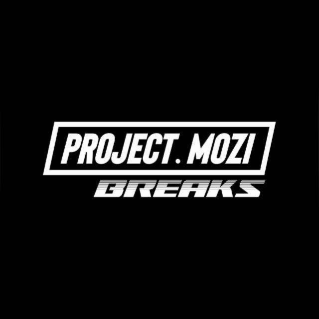 Project Mozi Breaks